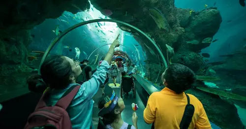 Adrenaline-pumping Adventures at Sentosa Adventure Cove - Best Team Retreat Singapore