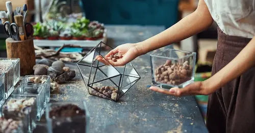 Setting Up Your Indoor Terrarium (Step-by-Step) - Indoor Terrarium Singapore