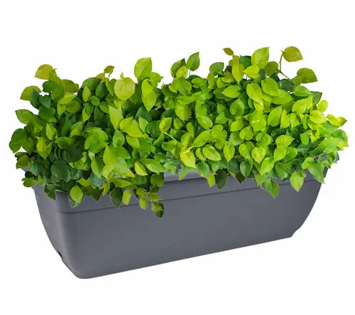 Sorrento Self Watering Planter Pots - Plant Gifts Singapore (Credit: Decor)