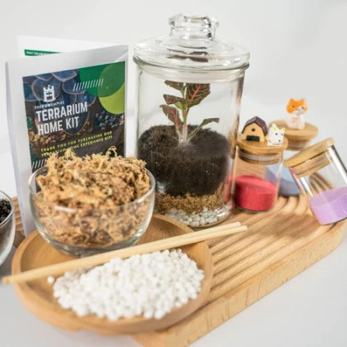 Terrarium Home Kit- Terrarium Singapore