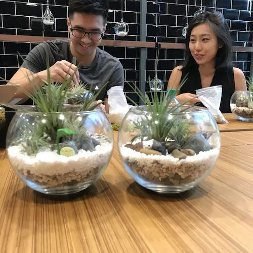 The Green Capsule - Cheap Terrarium Workshop Singapore (Credit: The Green Capsule)