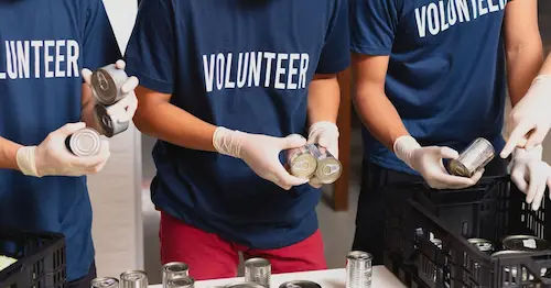 Volunteer Activity