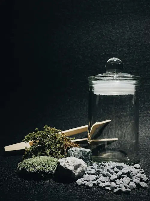 A Dose Of Something - Terrarium Supplies Singapore 