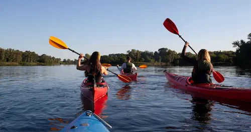 Kayaking Adventure - Best Outdoor Team Building Ideas Singapore