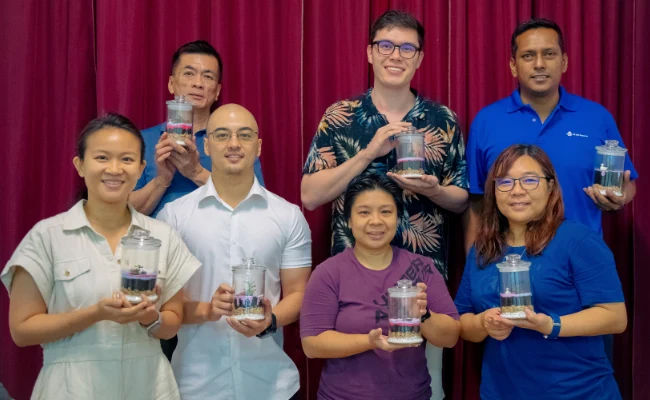 participants in a terrarium workshop in singapore