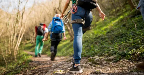 Nature Hike and Orienteering