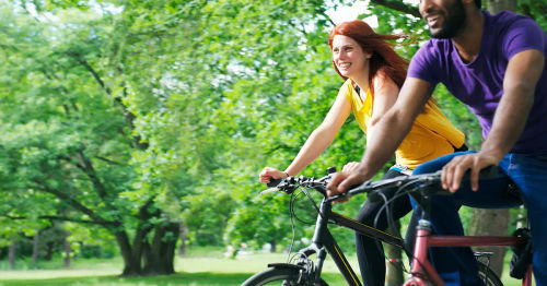 Bike Rental