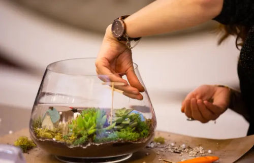 Group Terrarium Workshop