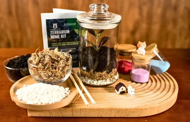 Terrarium Kit