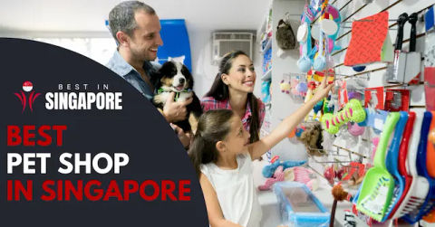 Best Pet Shop Singapore