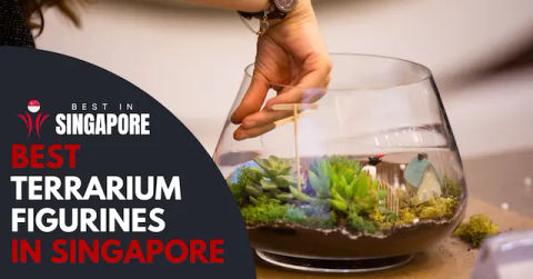 Best Terrarium Figurines Singapore