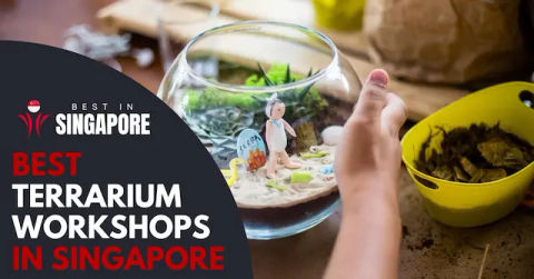 Best Terrarium Workshop Singapore