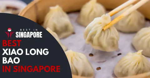 Best Xiao Long Bao Singapore