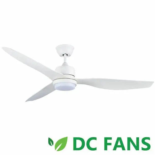 Acorn Intaglio DC-159 Ceiling Fan - Ceiling Fan Singapore