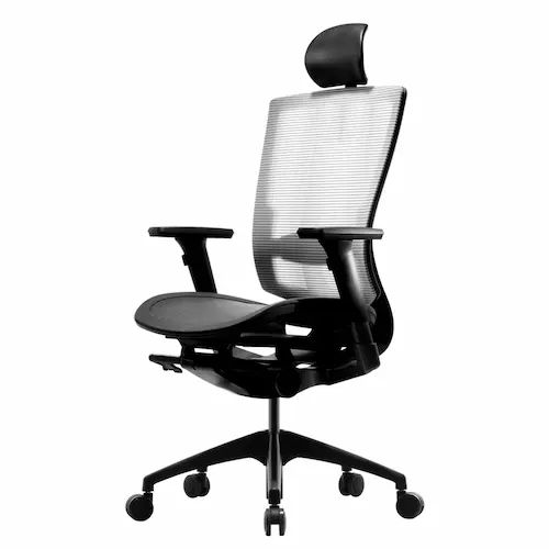 Ergoworks Duoflex Bravo Collection Ergonomic Chair - Ergonomic Chair Singapore