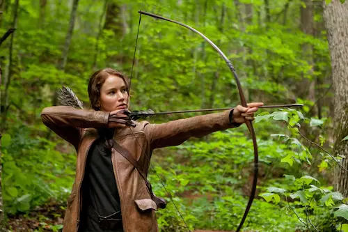(Credit: The Hunger Games Wiki - Fandom)