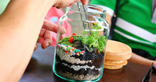 Terrarium Making - Craft Workshops Singapore