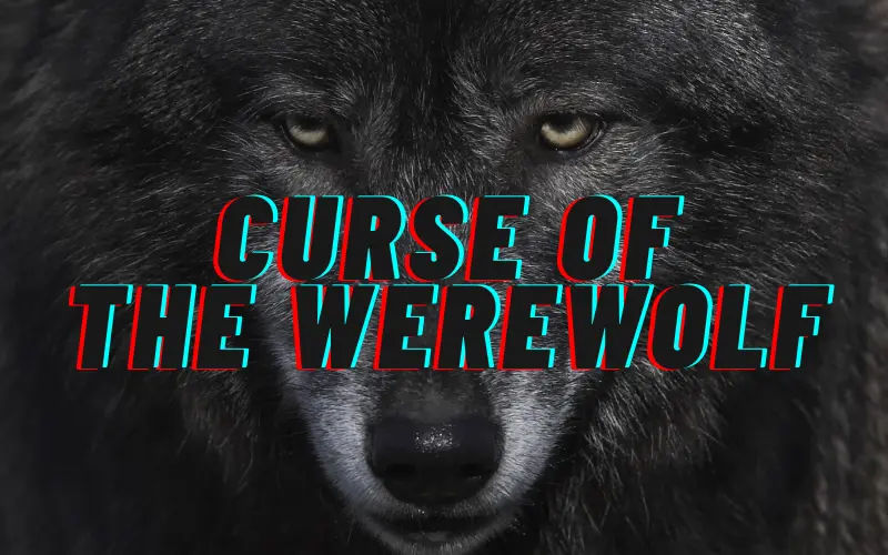 Curse Of The Werewolf - Escape Room Singapore