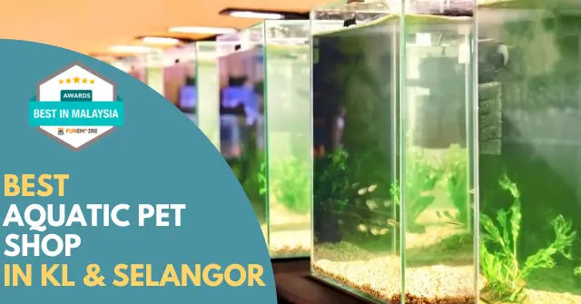 Best Aquatic Pet Shop KL Selangor