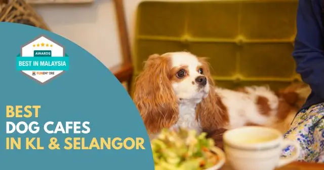 Best Dog Cafe KL Selangor