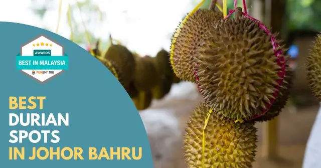 Best Durian Spot Johor Bahru