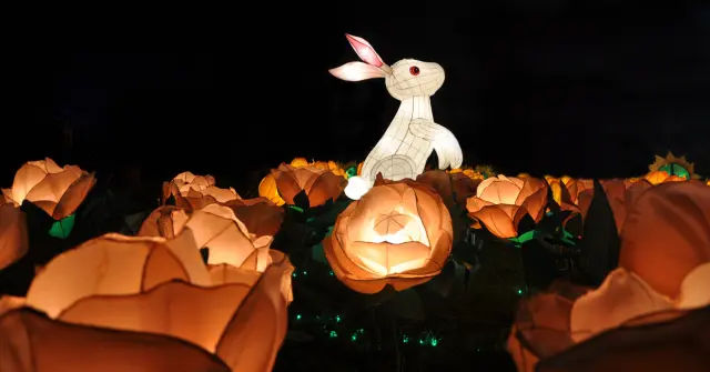 Lantern Festival