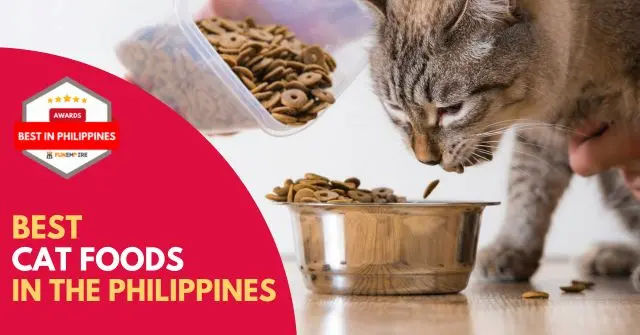 Best Cat Food Philippines