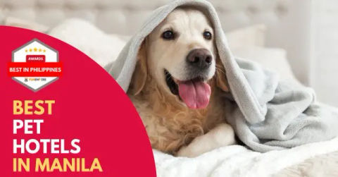 Best Pet Hotel Manila