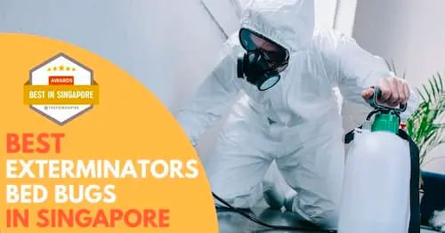 Best Bed Bug Exterminator Singapore