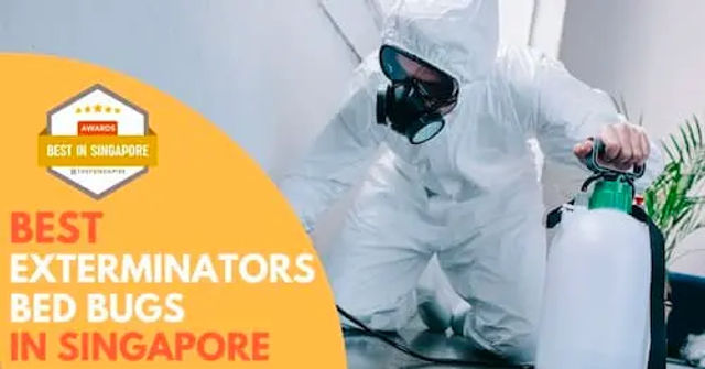 Bed Bug Exterminator Singapore