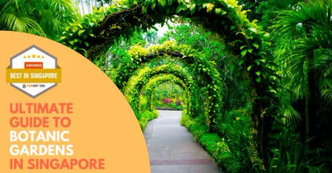 Best Guide to Botanic Gardens Singapore