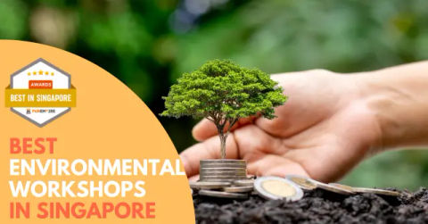 Best Environmental Workshops Singapore