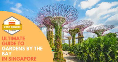 Best Gardens by the Bay Singapore