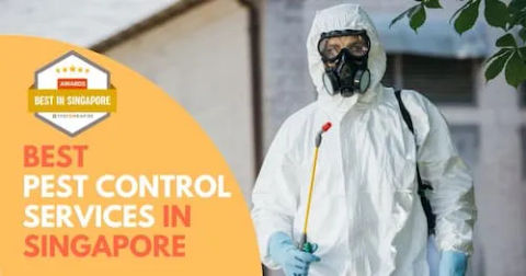 Pest Control Singapore