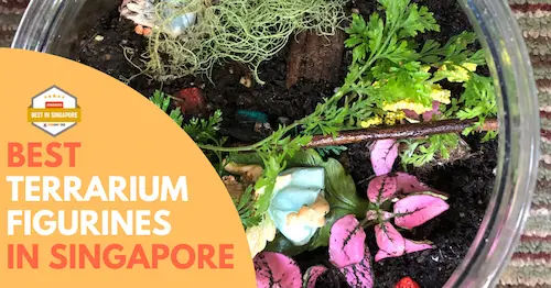 Best Terrarium Figurines Singapore