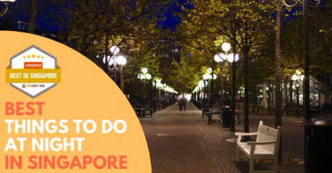 Best Things to do at Night Singapore