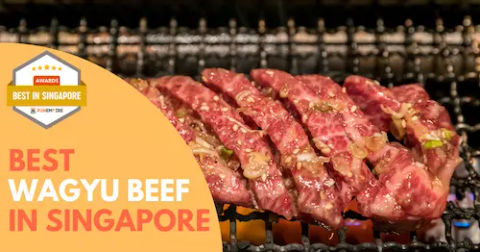 Best Wagyu Beef Singapore