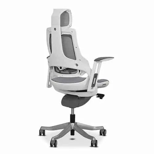 Desky Pro+ Ergonomic Chair - Ergonomic Chair Australia (Credit: Desky)