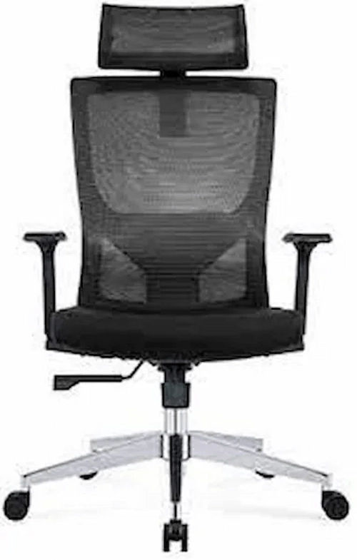 Ekkio Executive Office Chair - Ergonomic Chair Australia (Credit: Amazo)