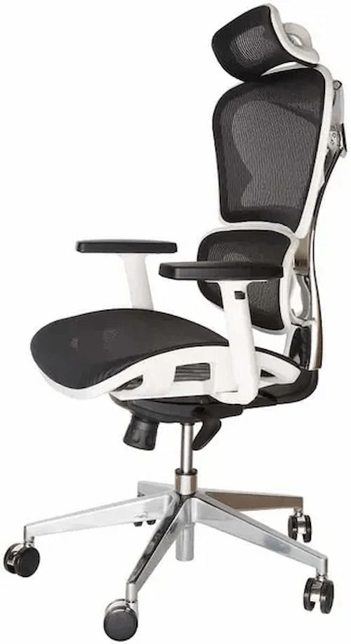 Replica Ergohuman - Ergonomic Chair Australia (Credit: Replica Ergohuman)