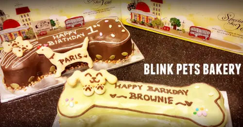 Blink Pets Bakery - 8 Best Dog Cafes in KL & Selangor