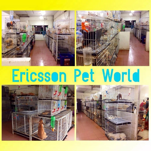 Ericsson Pet World - Pet Shop Johor Bahru