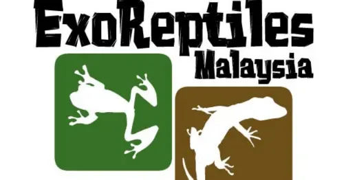 ExoReptiles - 8 Best Pet Shops in KL & Selangor