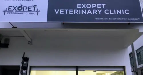 Exopet Veterinary Clinic - 8 Best Veterinary Clinics in Johor Bahru