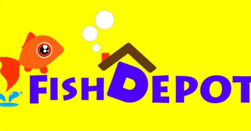 Fish Depot - Best Aquatic Pet Shops in KL & Selangor