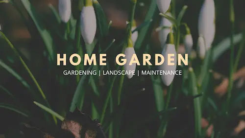 Home Retreat Garden Nursery - Plant Nursery KL Selangor