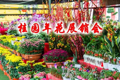 Katsura Garden Centre - Plant Nursery KL Selangor