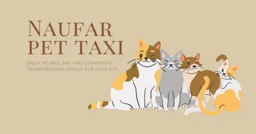 NauFar Pet Taxi - 11 Best Pet Taxis in Malaysia