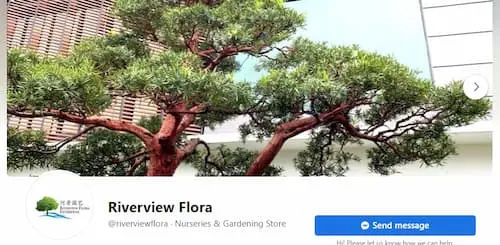 Riverview Flora - Plant Nursery Johor Bahru