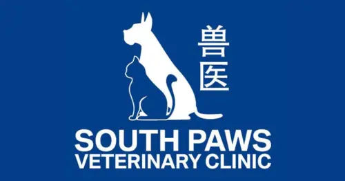 South Paws Veterinary Clinics - 8 Best Veterinary Clinics in Johor Bahru